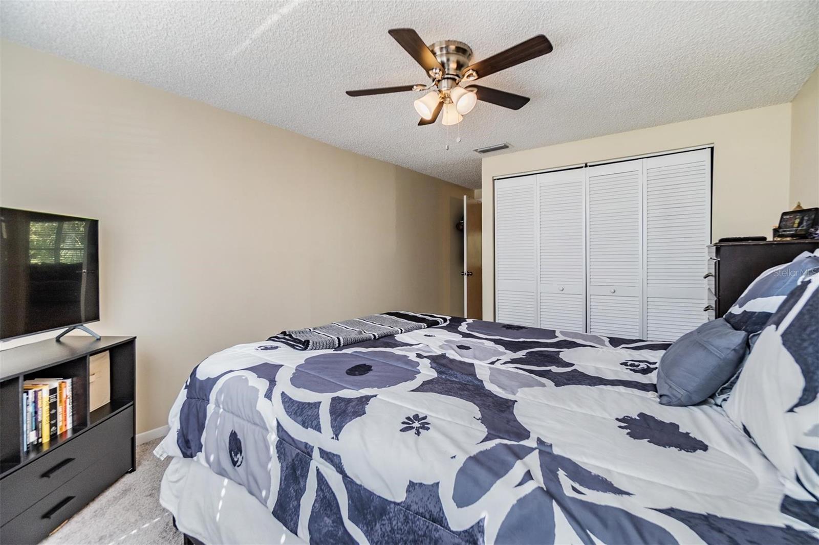 16309 CALIENTE PL, TAMPA, FL, 33624