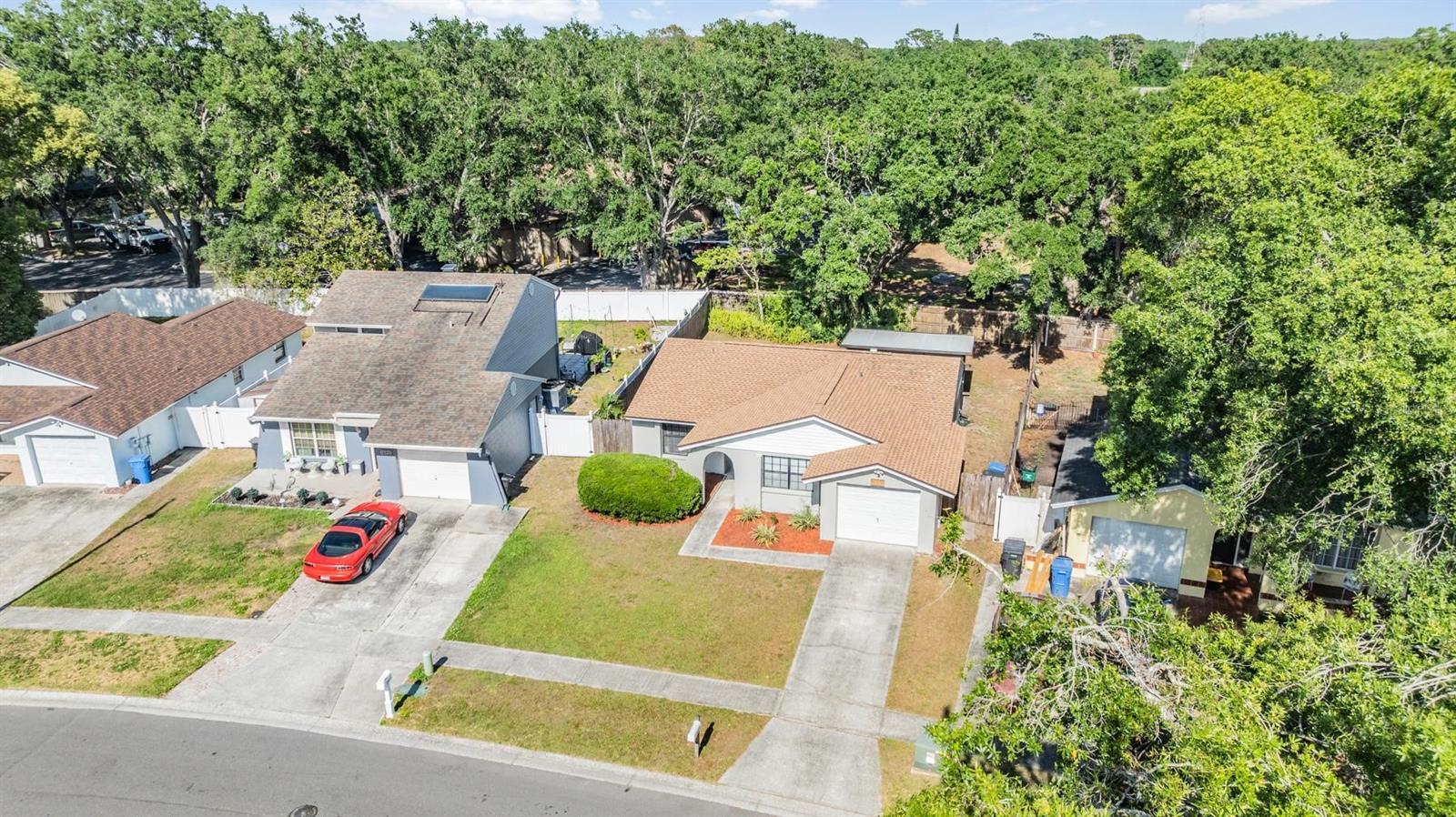 16309 CALIENTE PL, TAMPA, FL, 33624