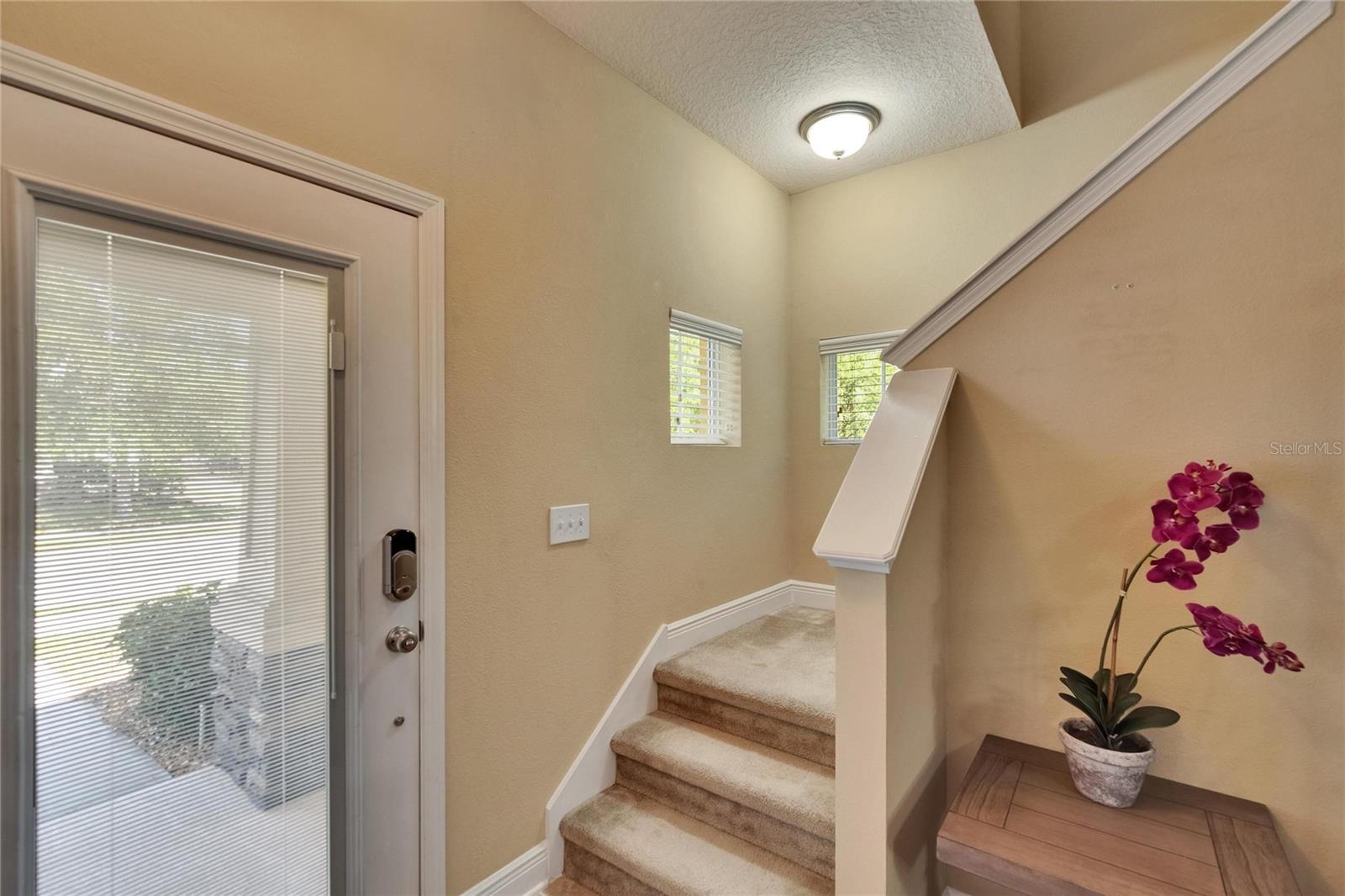 6918 FROG POCKET PL, TAMPA, FL, 33616