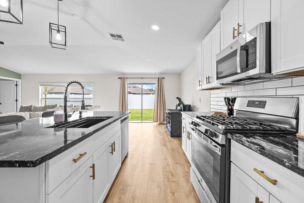 10333 SCARLET SKIMMER DR, RIVERVIEW, FL, 33578