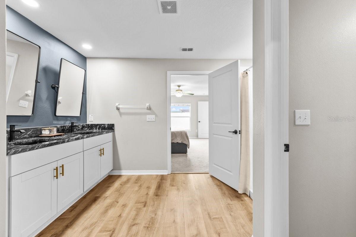 10333 SCARLET SKIMMER DR, RIVERVIEW, FL, 33578