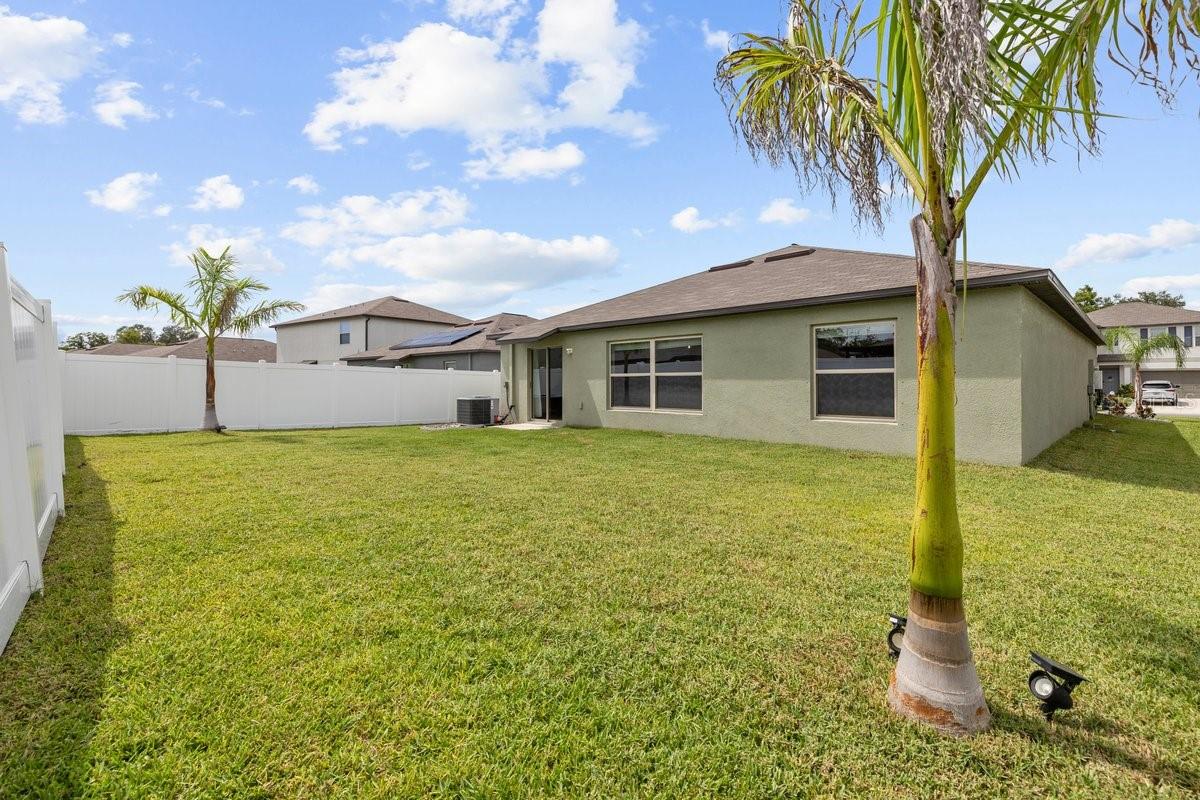 10333 SCARLET SKIMMER DR, RIVERVIEW, FL, 33578