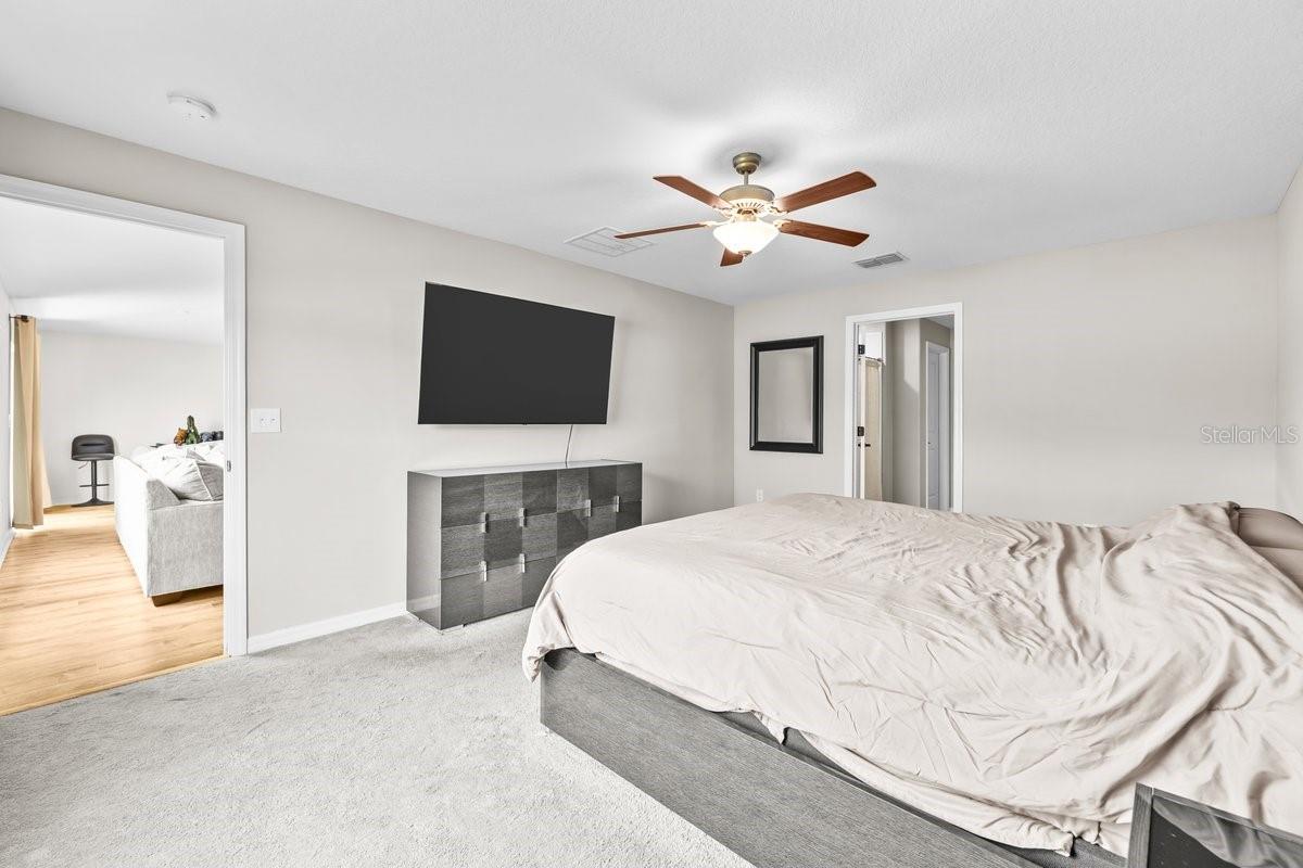 10333 SCARLET SKIMMER DR, RIVERVIEW, FL, 33578