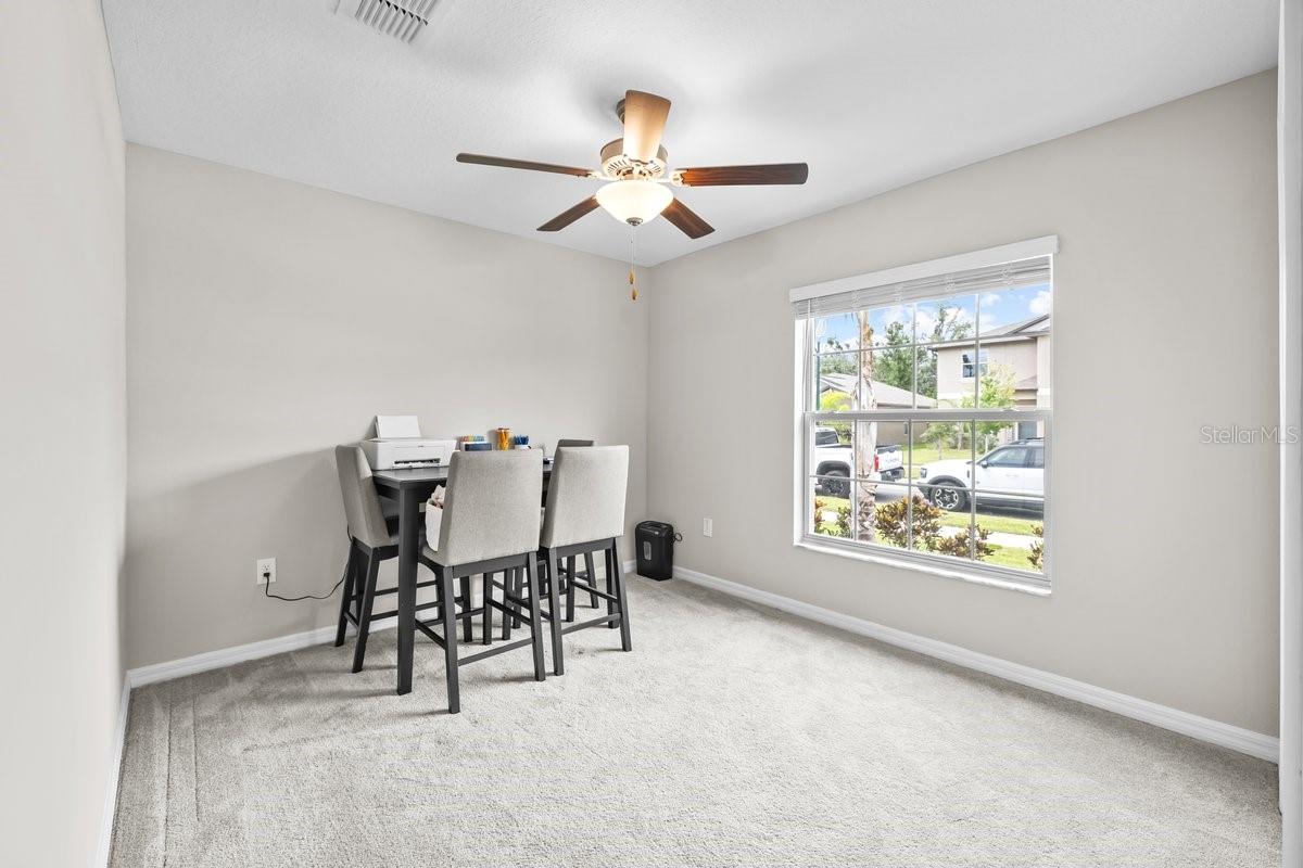 10333 SCARLET SKIMMER DR, RIVERVIEW, FL, 33578