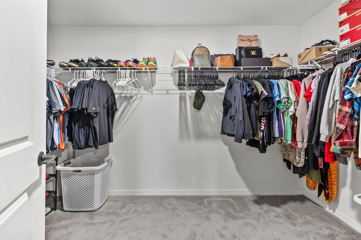 10333 SCARLET SKIMMER DR, RIVERVIEW, FL, 33578