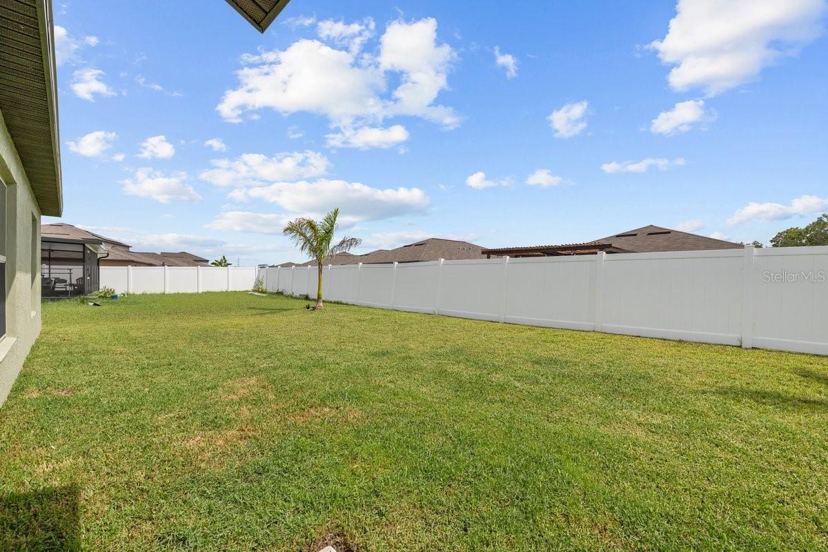 10333 SCARLET SKIMMER DR, RIVERVIEW, FL, 33578