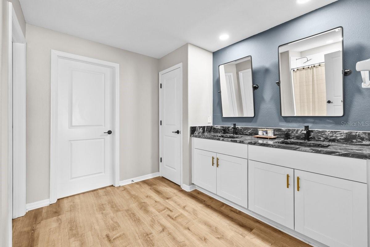 10333 SCARLET SKIMMER DR, RIVERVIEW, FL, 33578