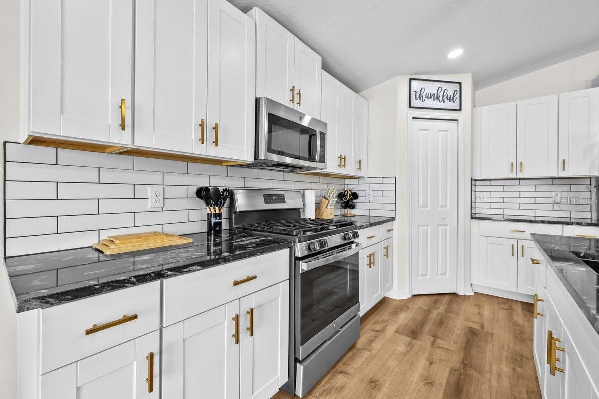 10333 SCARLET SKIMMER DR, RIVERVIEW, FL, 33578