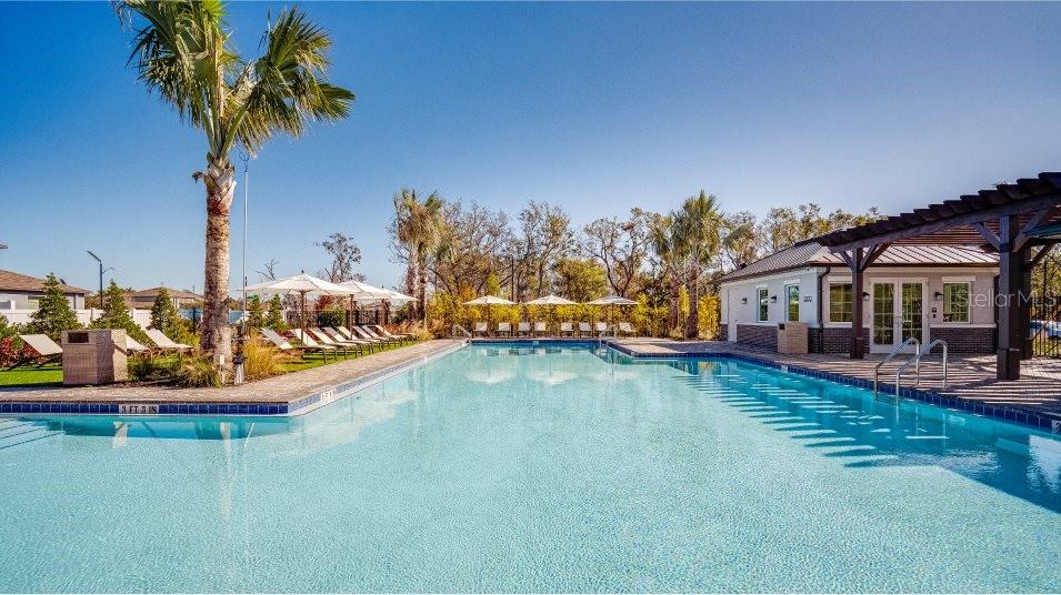 10333 SCARLET SKIMMER DR, RIVERVIEW, FL, 33578