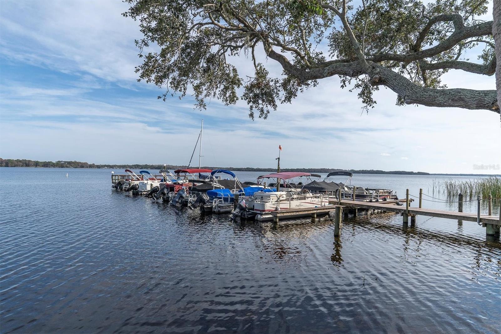 90 S HIGHLAND AVE #201, TARPON SPRINGS, FL, 34689