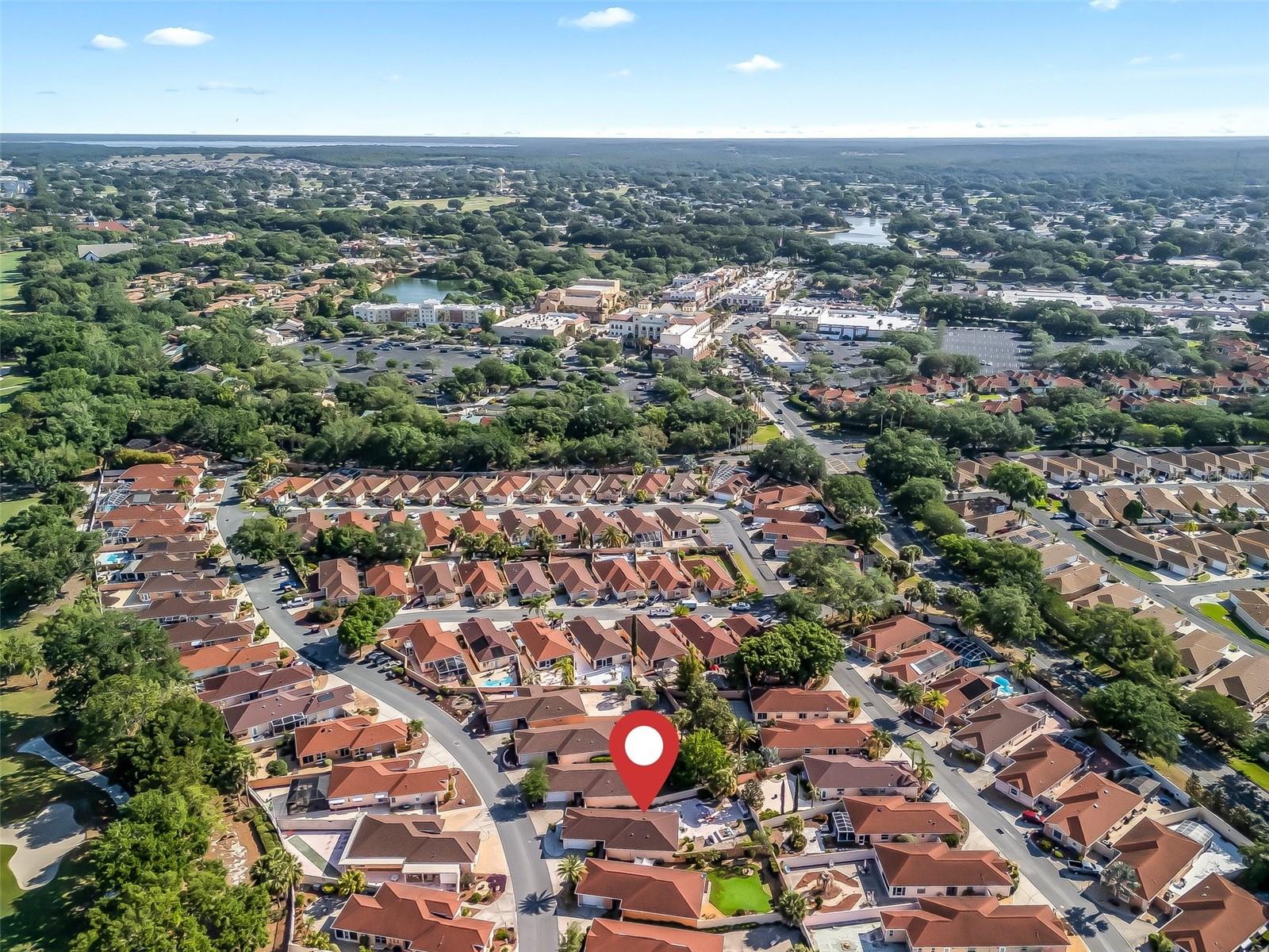 919 MEDIRA DR, THE VILLAGES, FL, 32159