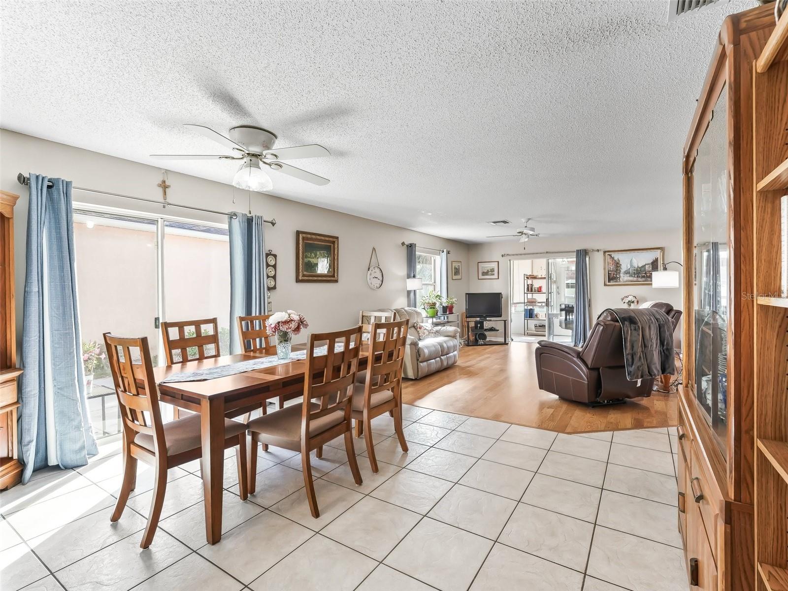 919 MEDIRA DR, THE VILLAGES, FL, 32159