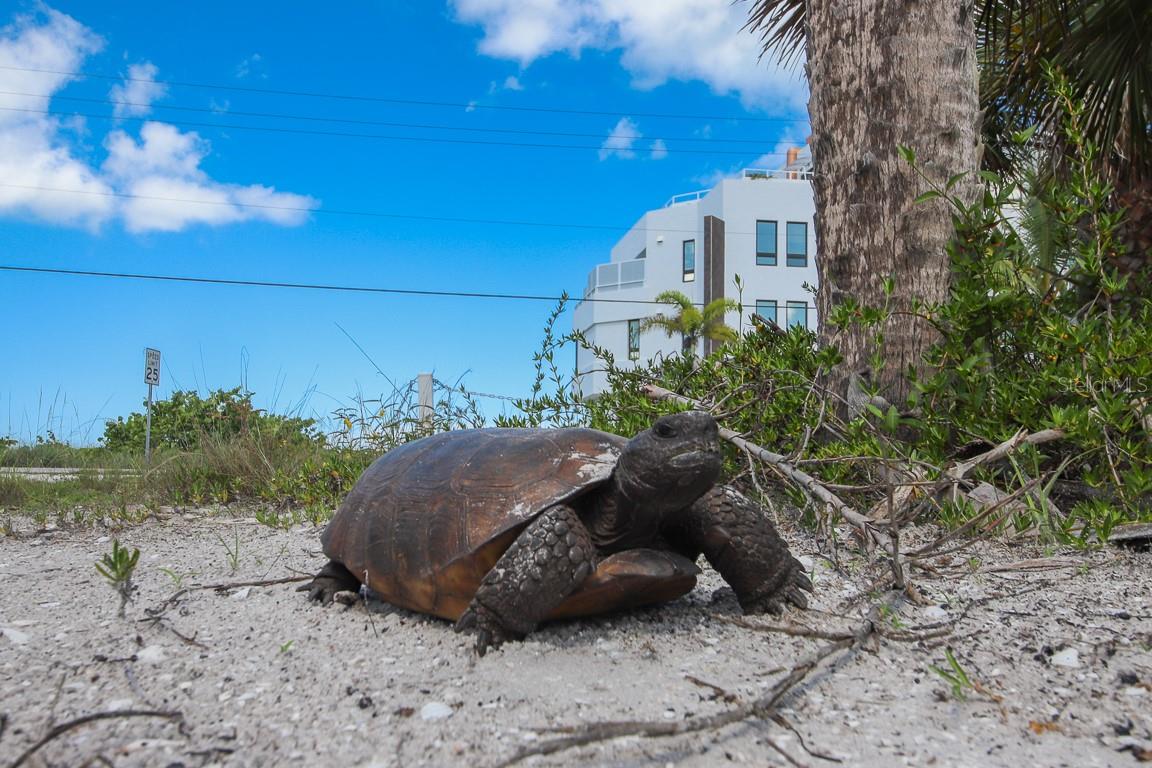 D6142123 Property Photo