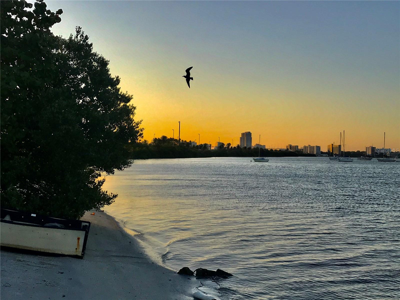 2254 NORWEGIAN DR #46, CLEARWATER, FL, 33763