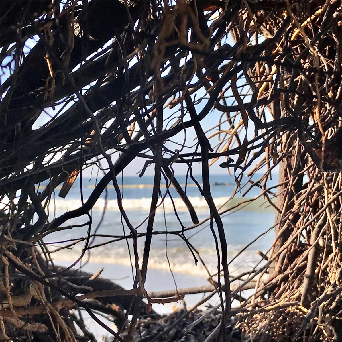 2254 NORWEGIAN DR #46, CLEARWATER, FL, 33763