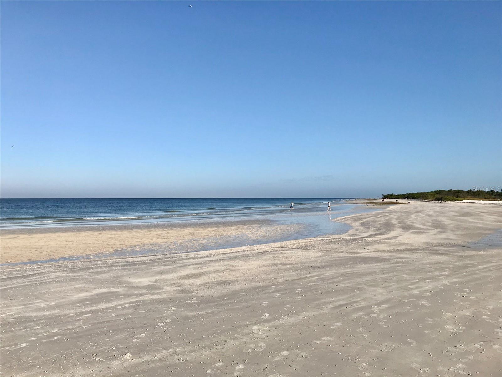 2254 NORWEGIAN DR #46, CLEARWATER, FL, 33763