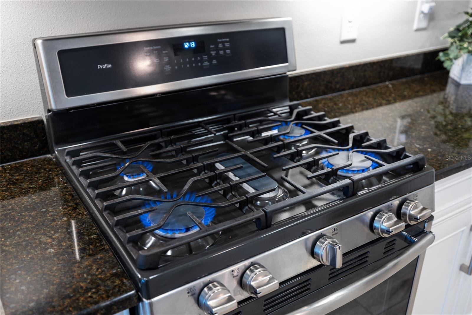 11125 MCDERMOTT CT, ENGLEWOOD, FL, 34223