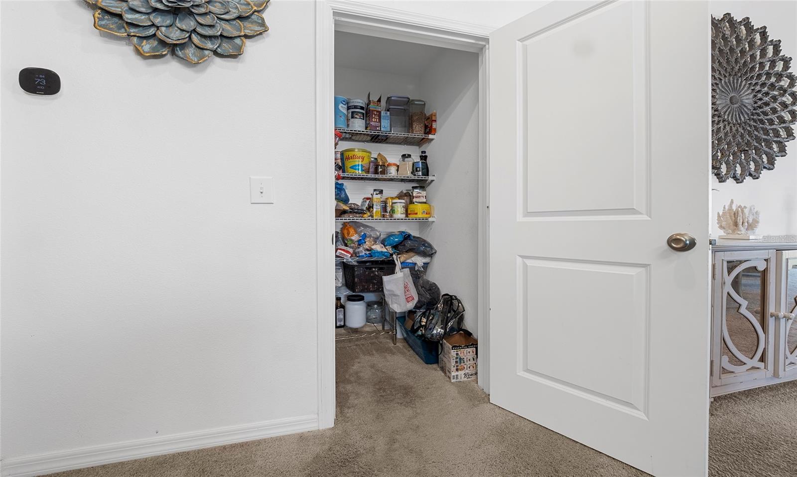 1065 MATTIE POINTE WAY, AUBURNDALE, FL, 33823