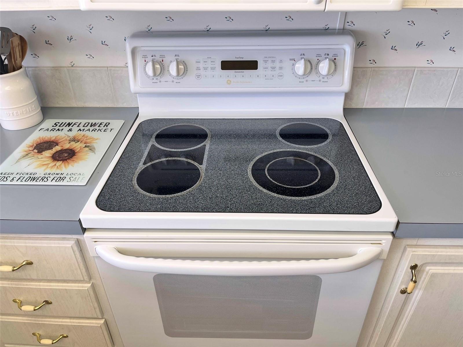 14373 STARCROSS ST, BROOKSVILLE, FL, 34613