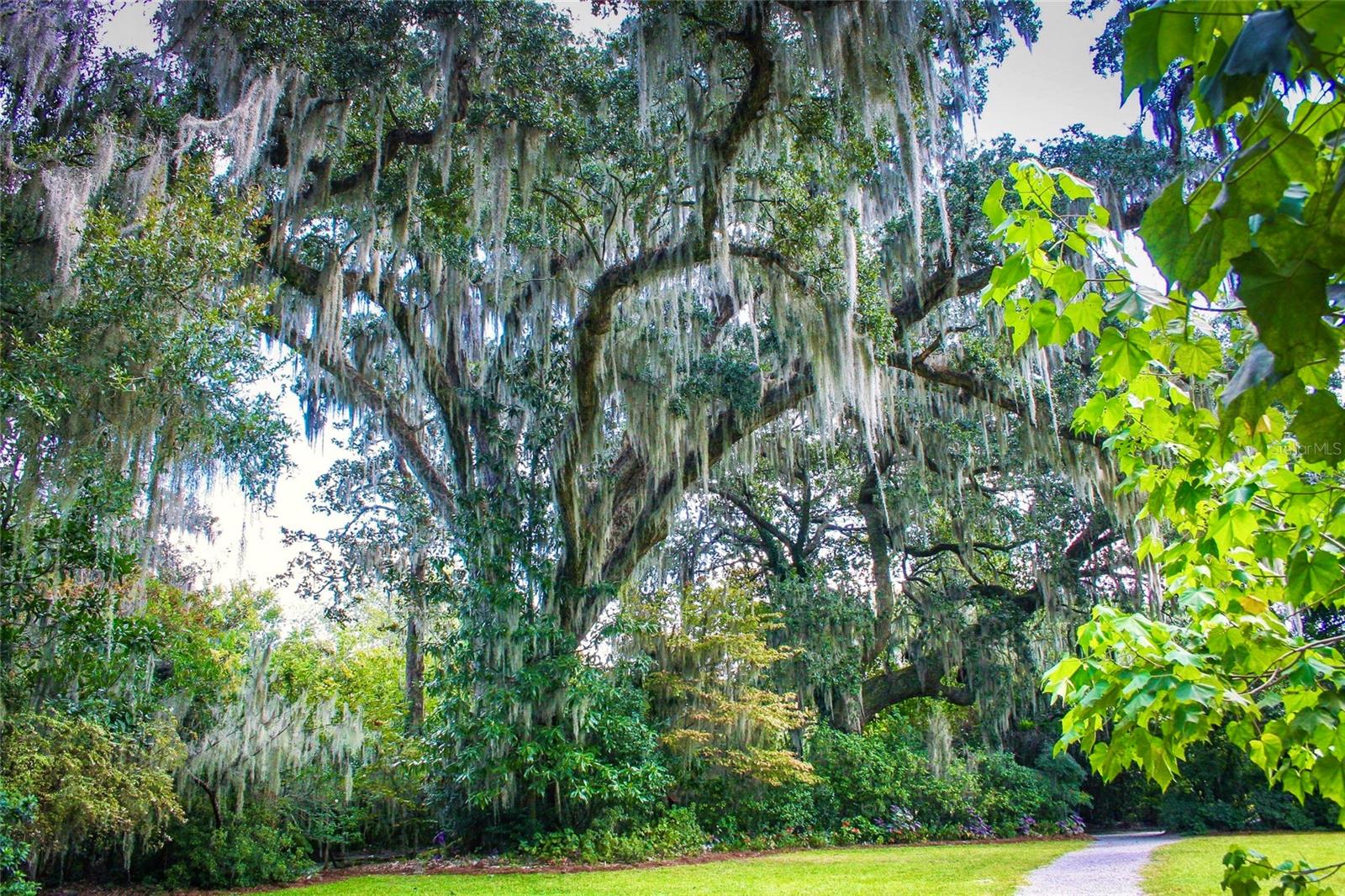 513 N POLLARD ST, OAKLAND, FL, 34787