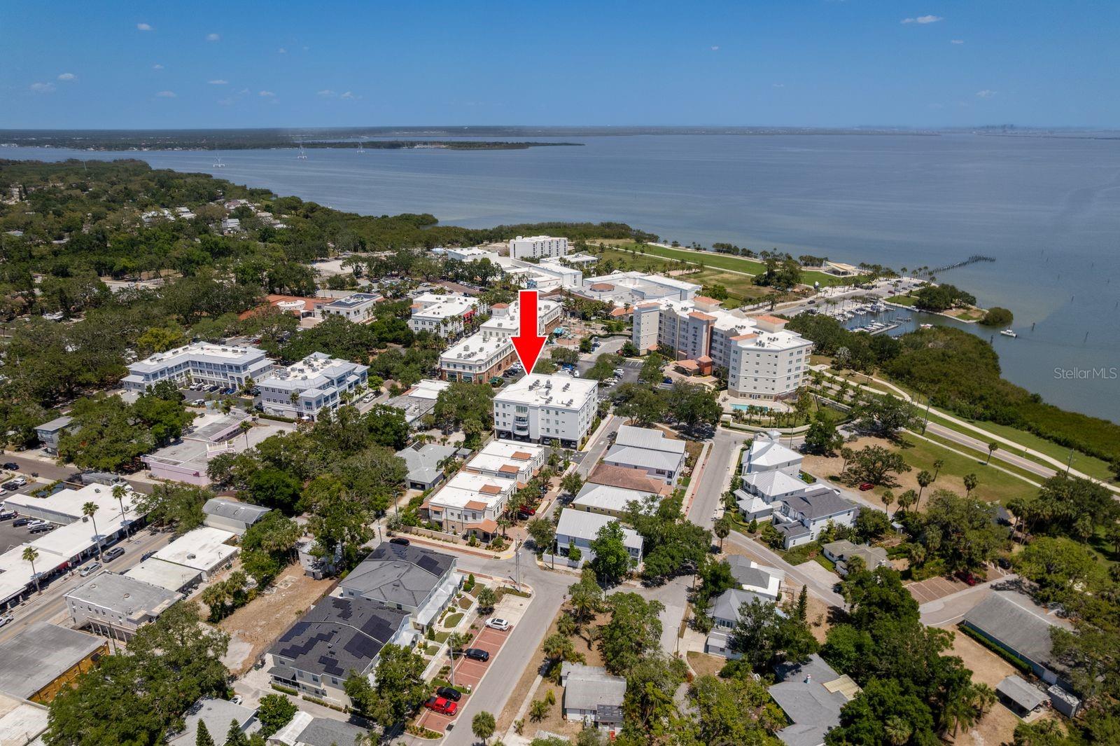 231 2ND ST S #201, SAFETY HARBOR, FL, 34695