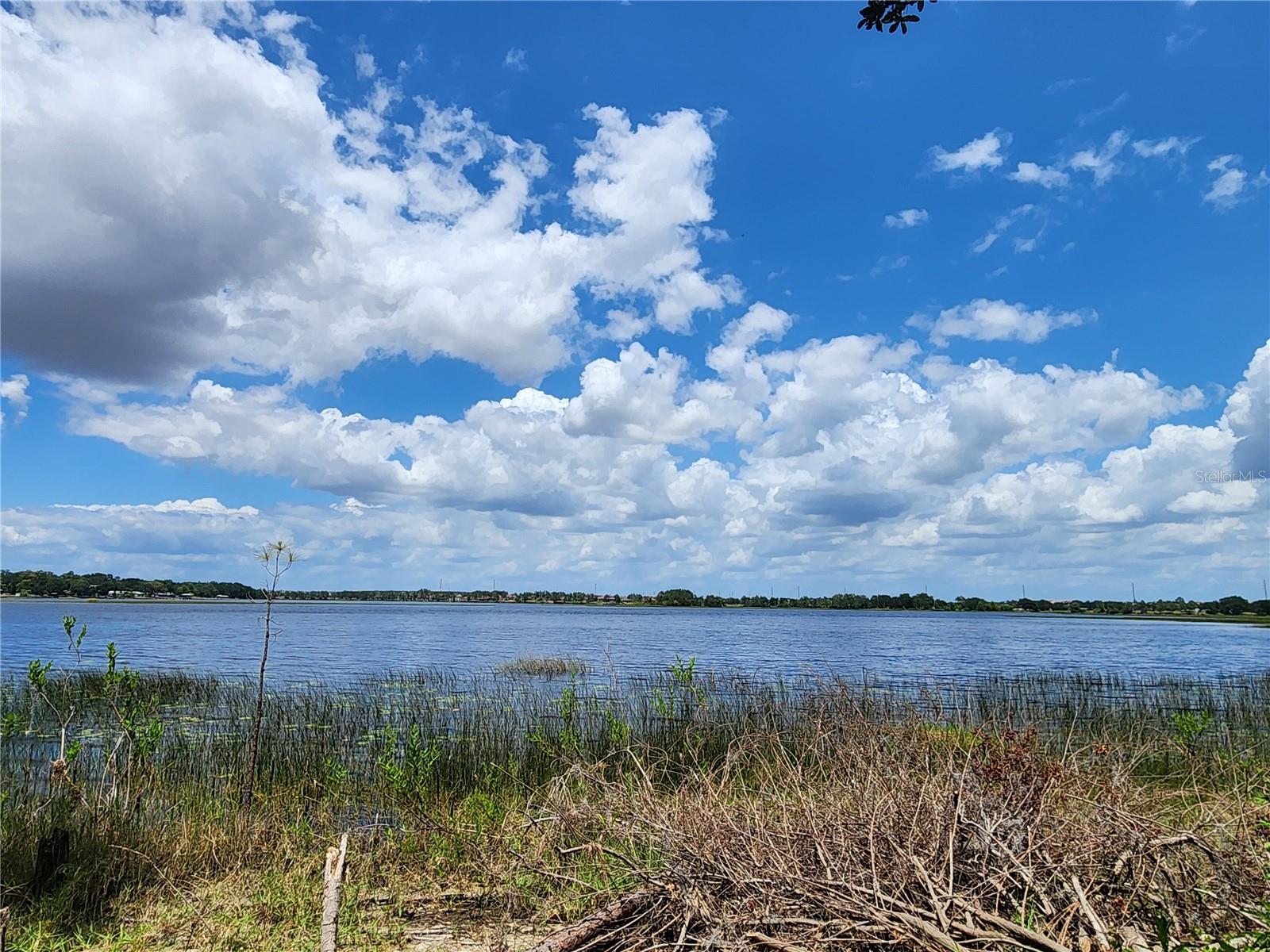 16043 PEBBLE BLUFF LOOP, WINTER GARDEN, FL, 34787