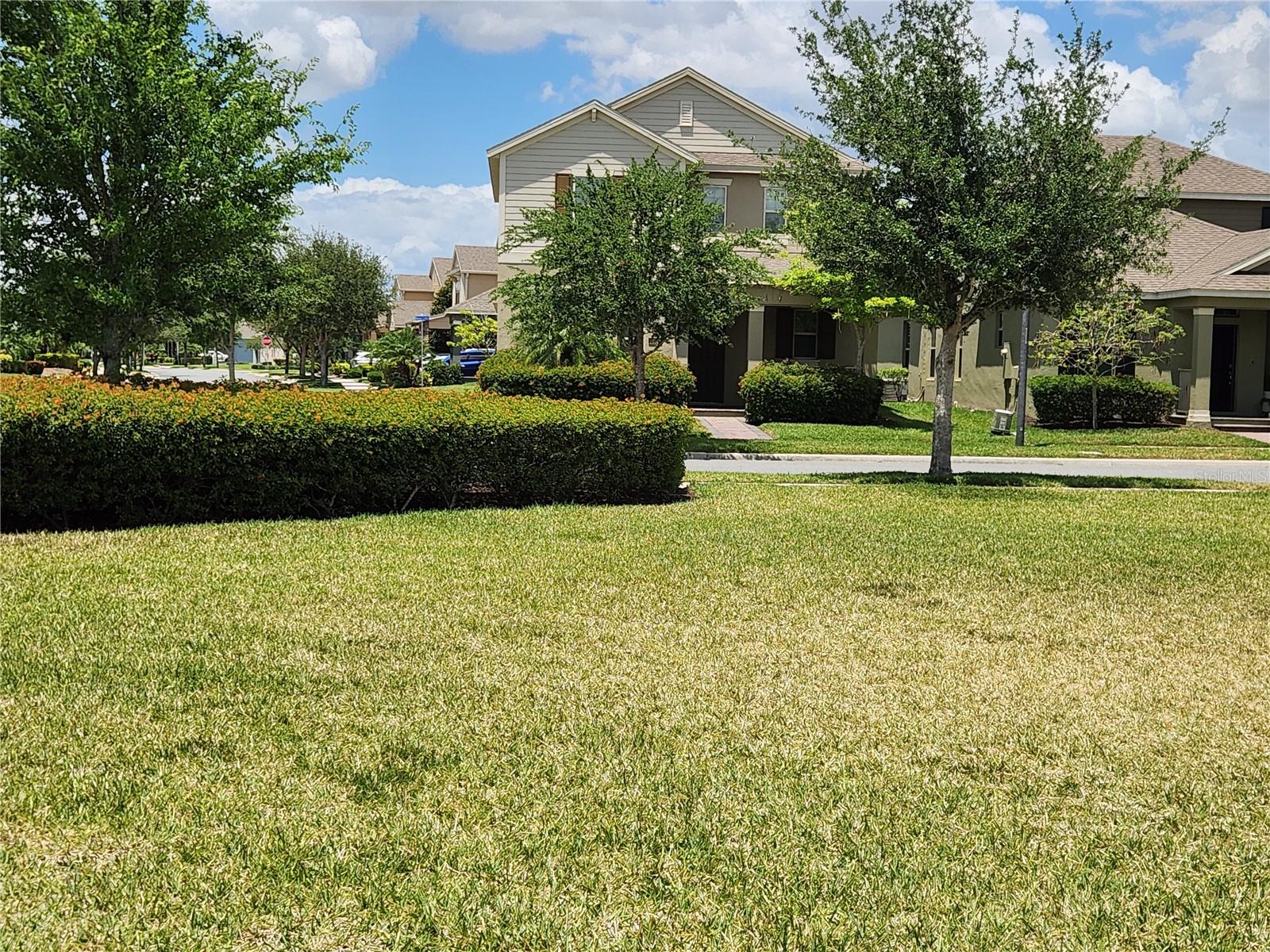 16043 PEBBLE BLUFF LOOP, WINTER GARDEN, FL, 34787