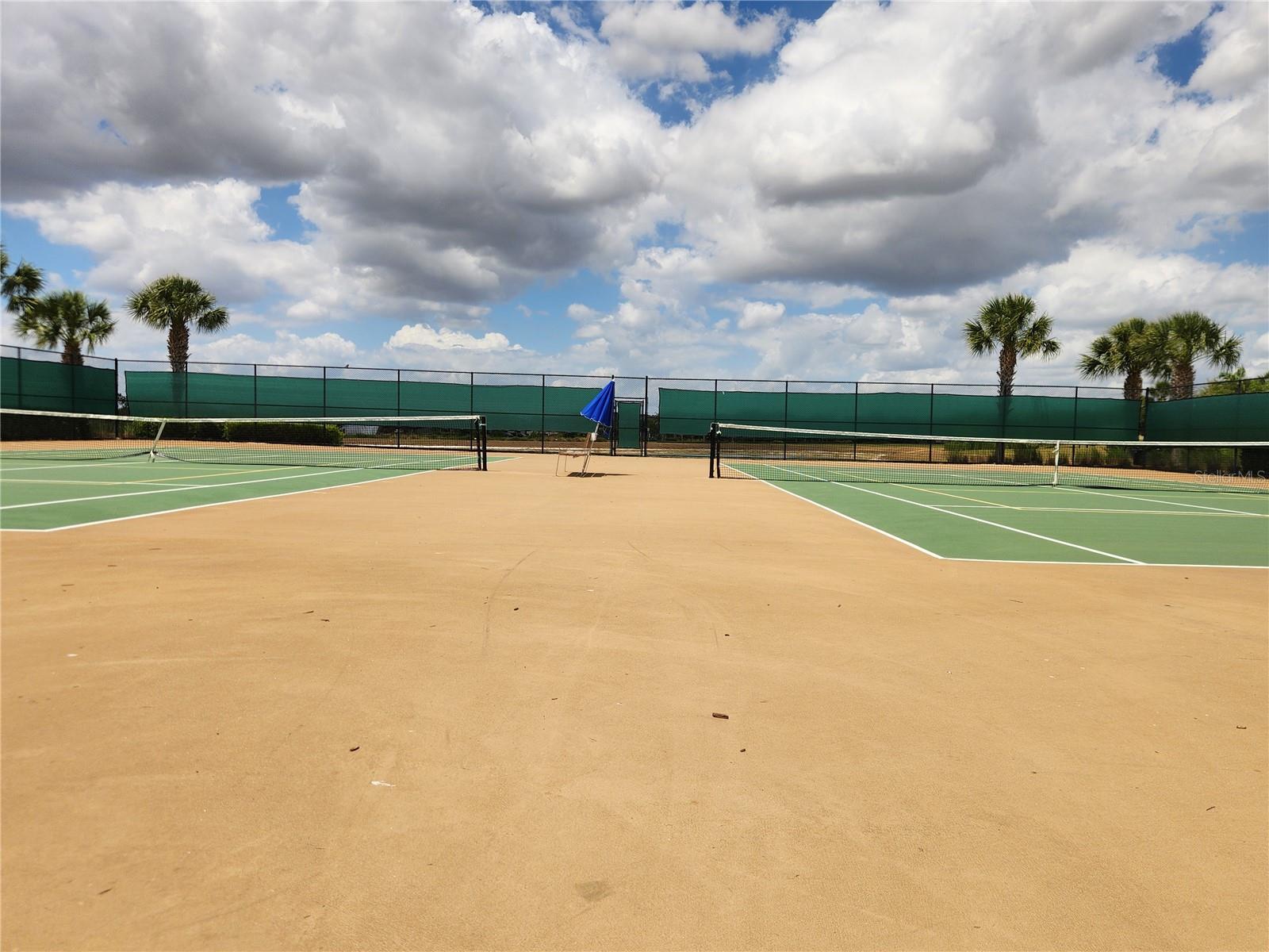 16043 PEBBLE BLUFF LOOP, WINTER GARDEN, FL, 34787