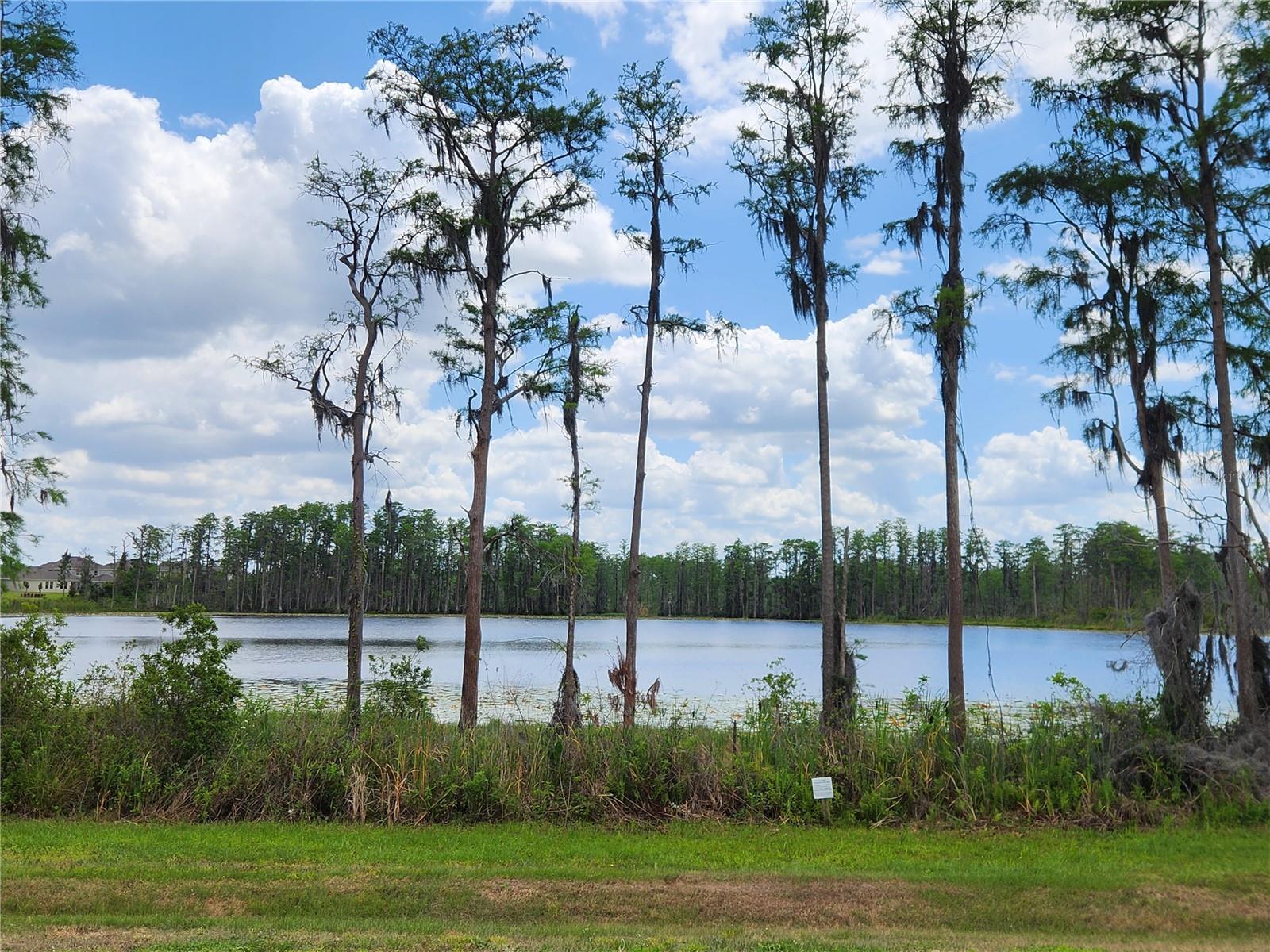 16043 PEBBLE BLUFF LOOP, WINTER GARDEN, FL, 34787