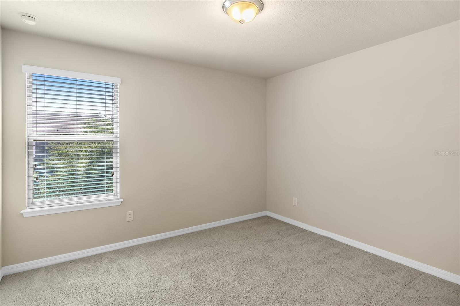 16043 PEBBLE BLUFF LOOP, WINTER GARDEN, FL, 34787