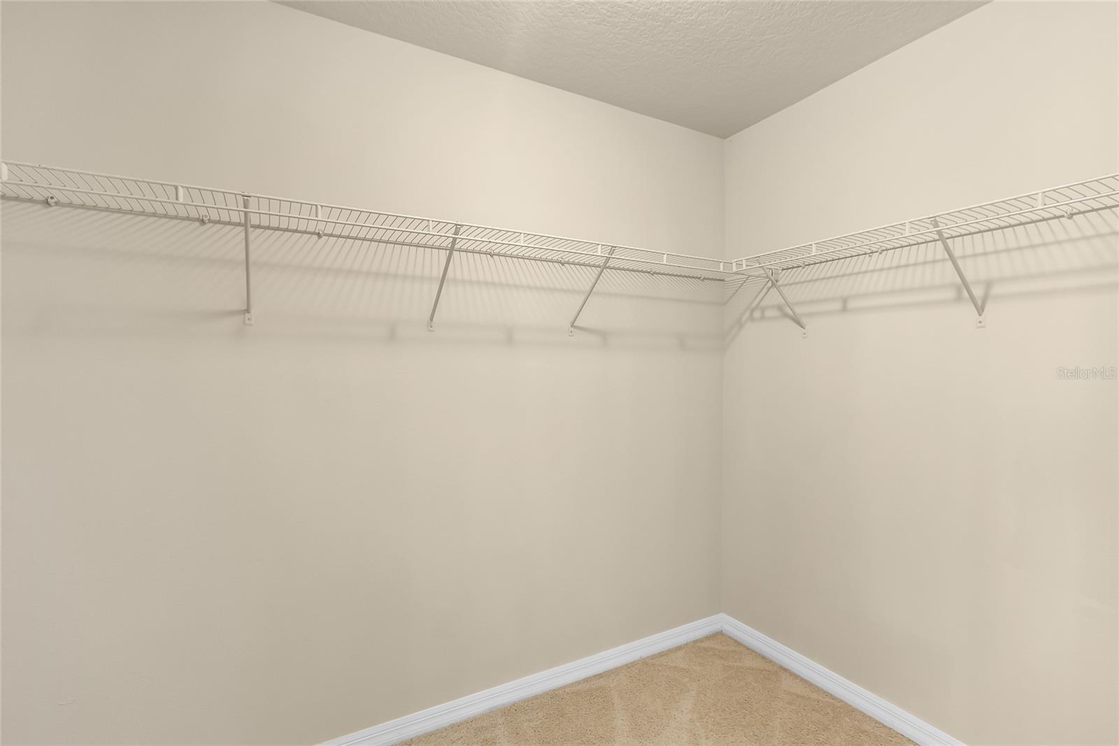 16043 PEBBLE BLUFF LOOP, WINTER GARDEN, FL, 34787