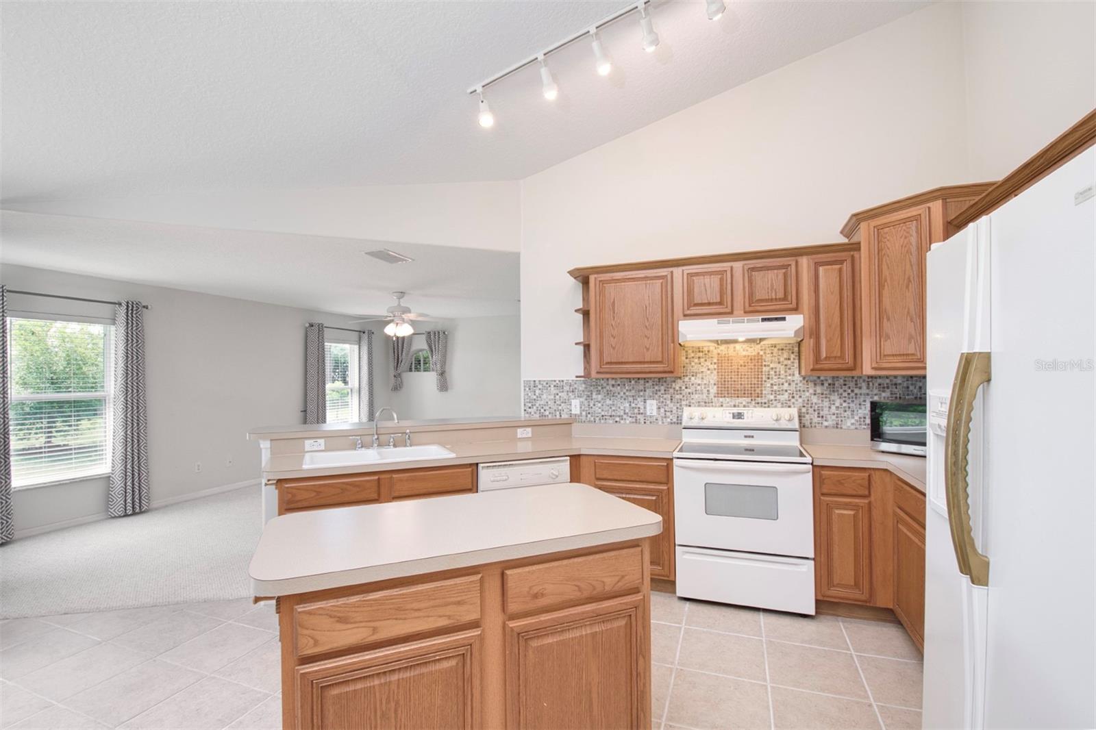 987 PRINCETON DR, CLERMONT, FL, 34711