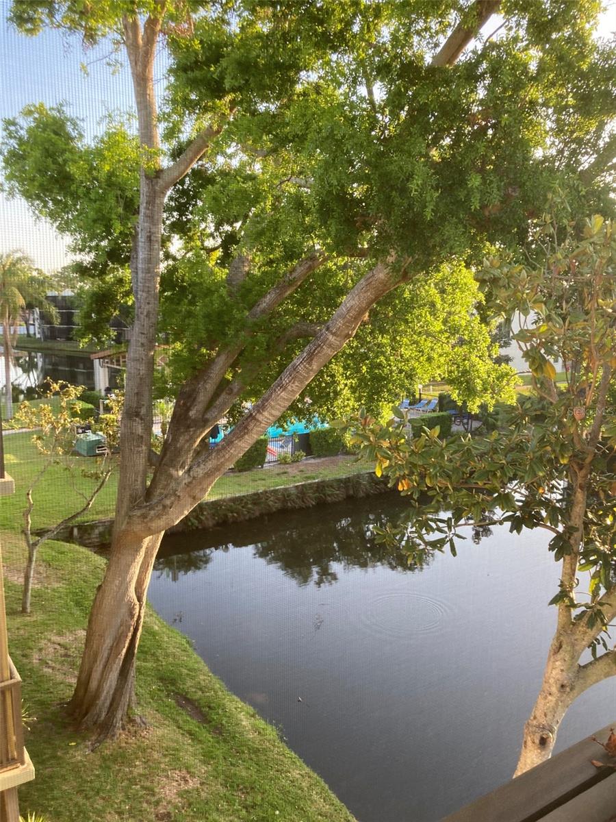 7951 58TH AVE N #308, ST PETERSBURG, FL, 33709