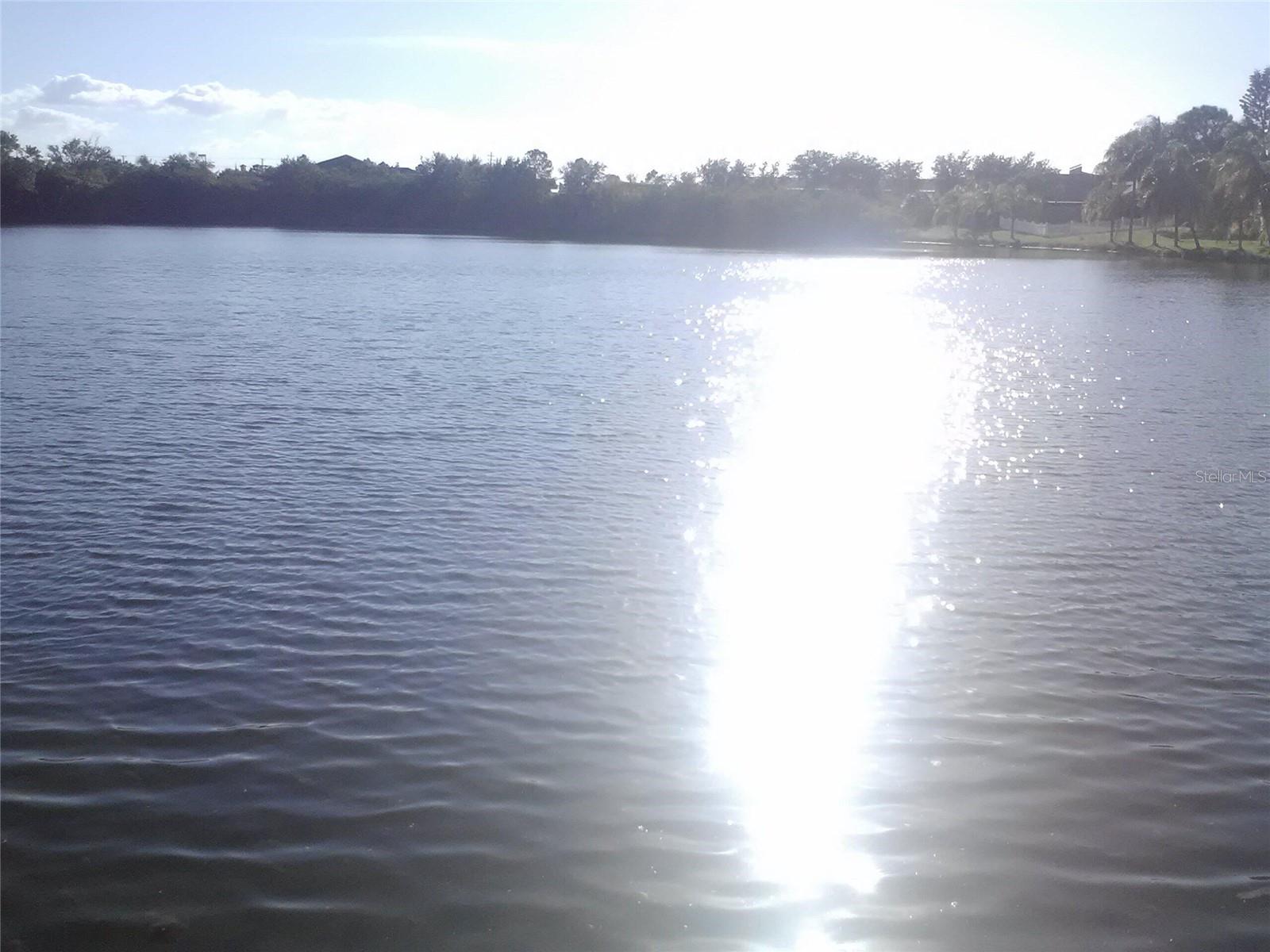 2011 N 61ST ST, TAMPA, FL, 33619