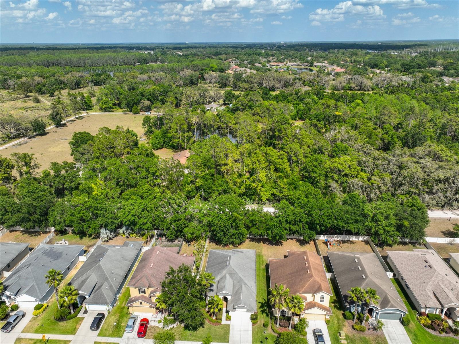 3315 GRANITE RIDGE LOOP, LAND O LAKES, FL, 34638