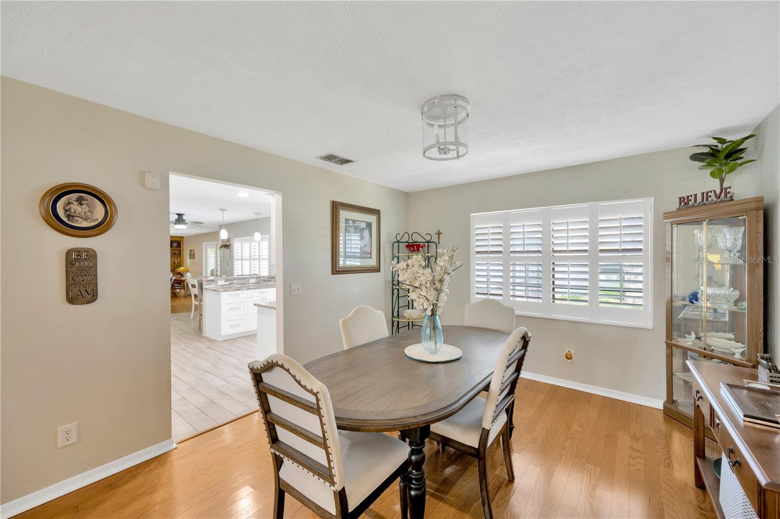 701 MILLIFOLD PL, BRANDON, FL, 33510