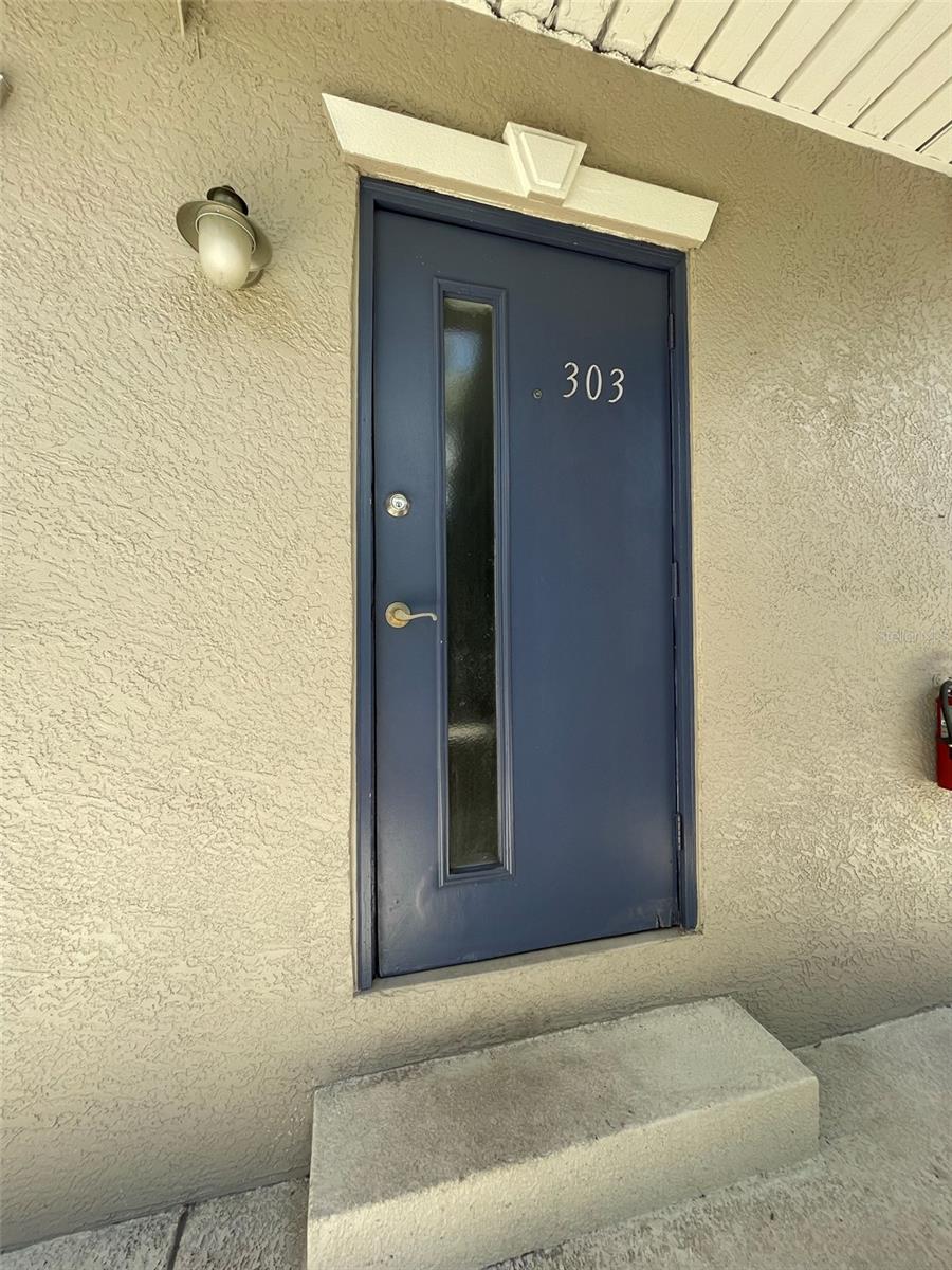 212 S CHURCH AVE #303, TAMPA, FL, 33609