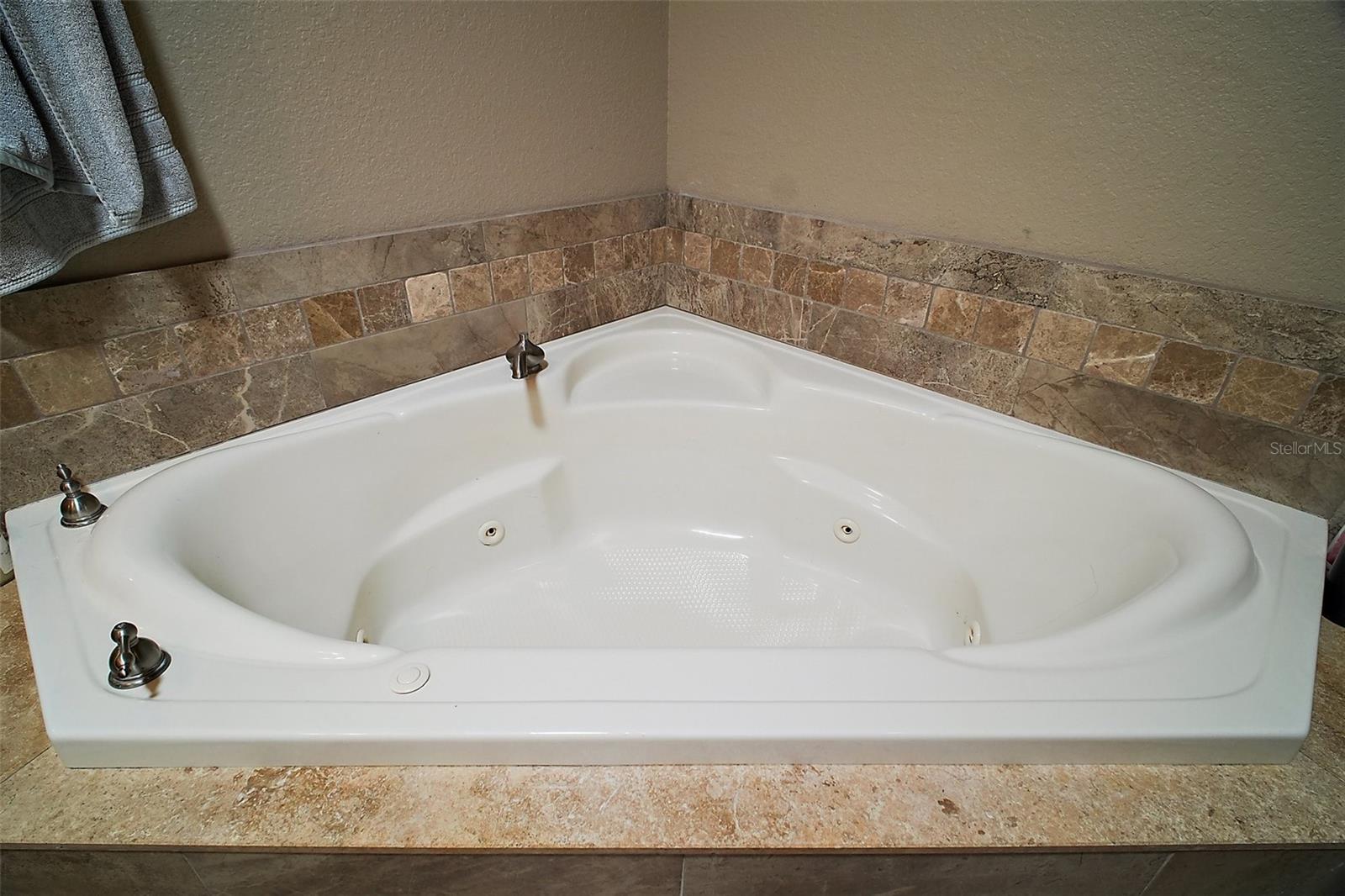 1893 BANNING BEACH RD, TAVARES, FL, 32778