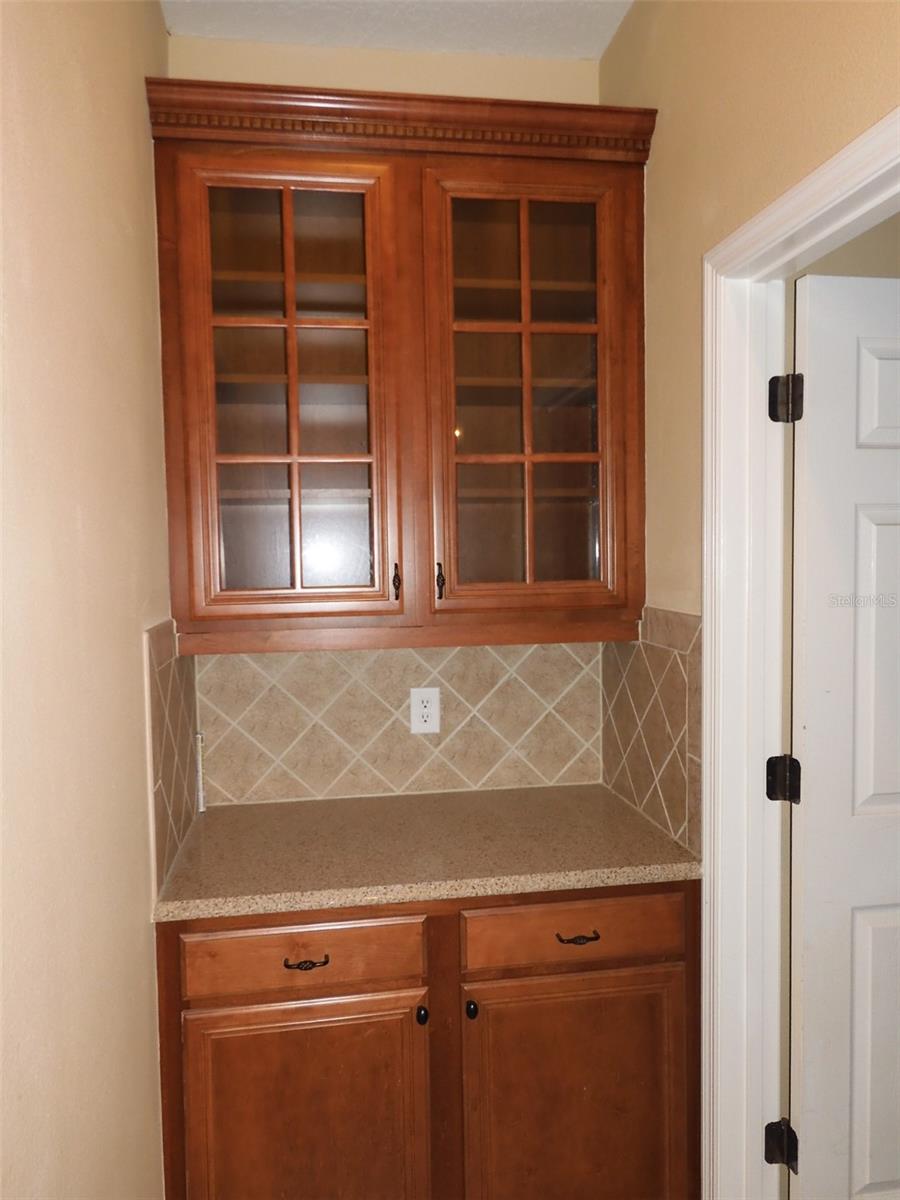 105 E BLUE WATER EDGE DR, EUSTIS, FL, 32736