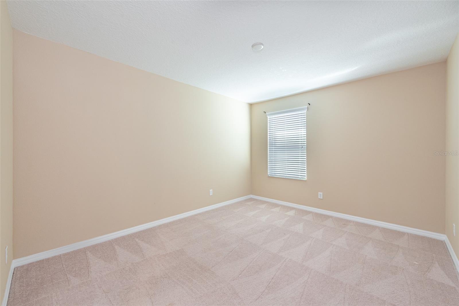 11525 SCARLET IBIS PL, RIVERVIEW, FL, 33569