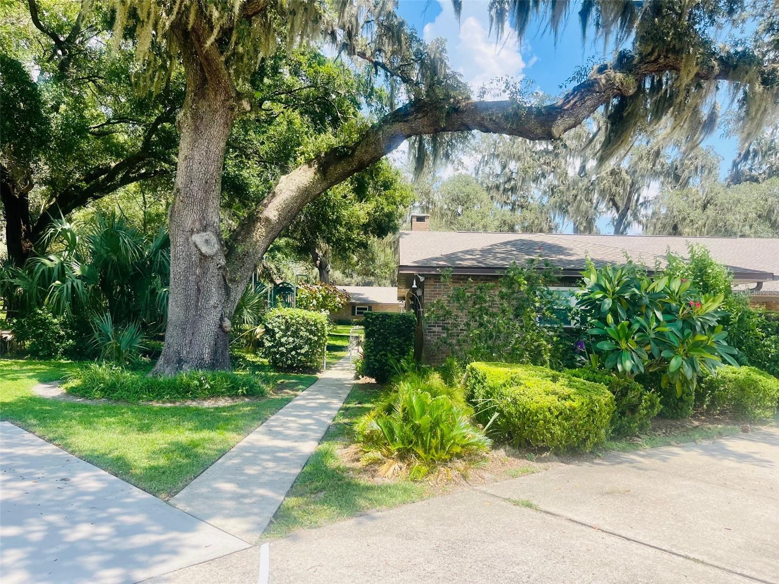 32132 HICKORY LN, SORRENTO, FL, 32776