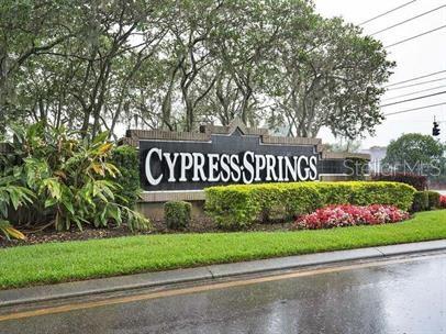 10448 WATER HYACINTH DR, ORLANDO, FL, 32825