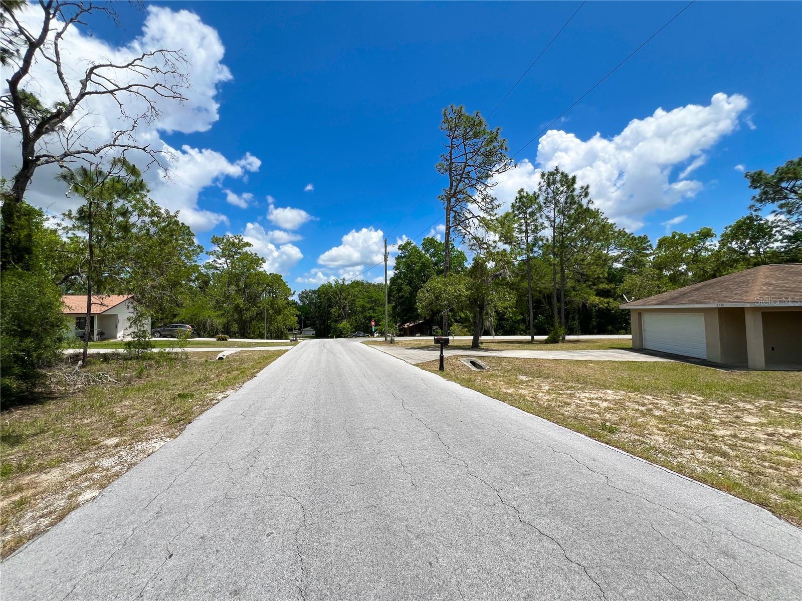 15230 S COUNTRY CLUB DR, WILLISTON, FL, 32696