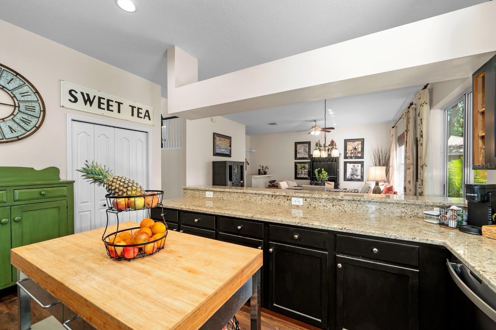 1133 SPLIT SILK ST, VALRICO, FL, 33594