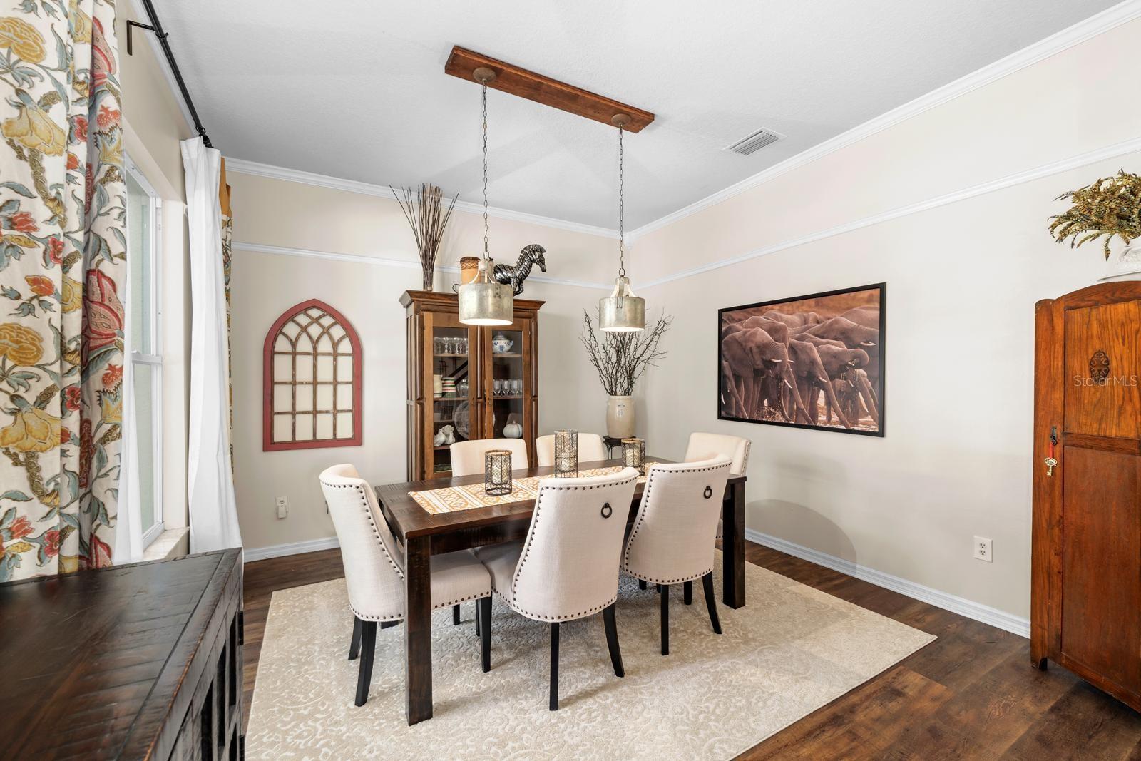 1133 SPLIT SILK ST, VALRICO, FL, 33594