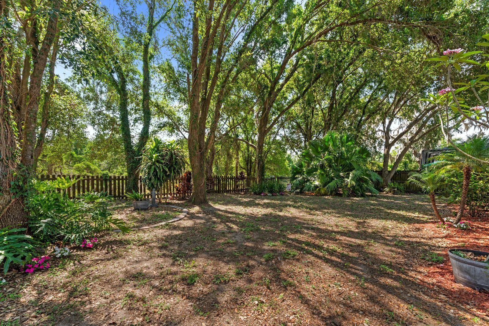 1133 SPLIT SILK ST, VALRICO, FL, 33594