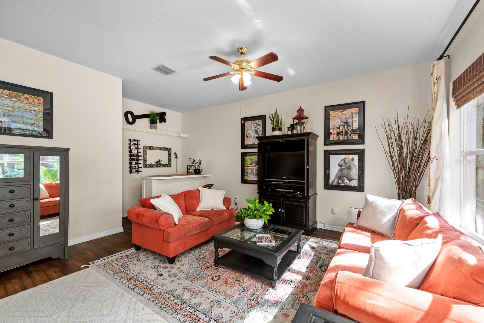 1133 SPLIT SILK ST, VALRICO, FL, 33594