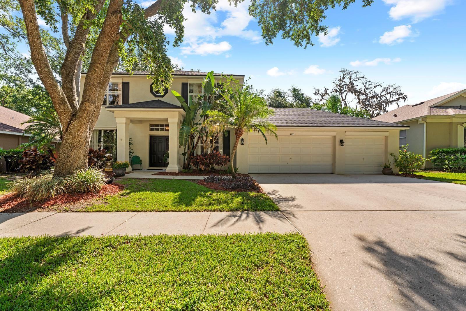 1133 SPLIT SILK ST, VALRICO, FL, 33594