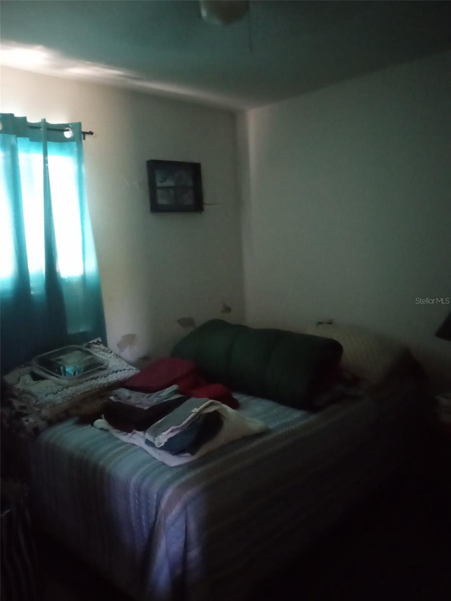 11406 SW 274TH ST, NEWBERRY, FL, 32669