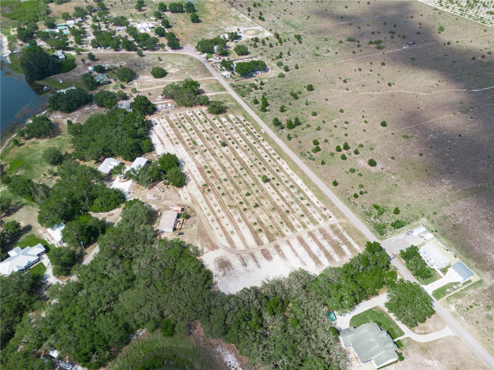 STEMBRIDGE RD, LAKE WALES, FL, 33898